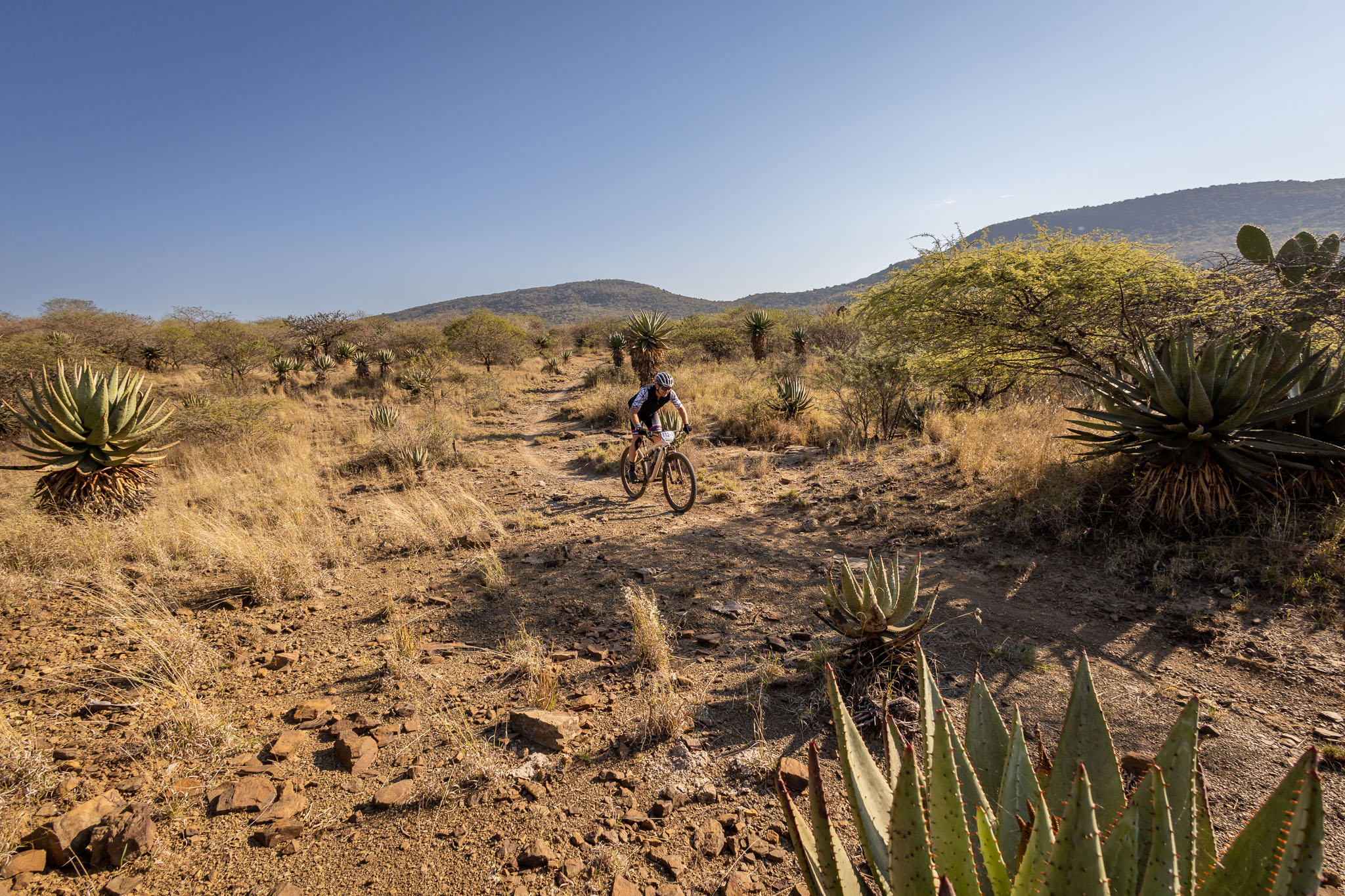 Bushveld biking at go2berg – Day 5